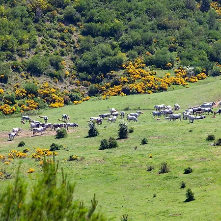 בית כפרי La Majada De Penacorada *