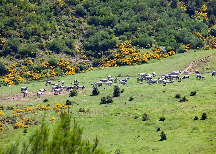 Casa de Campo La Majada De Penacorada *