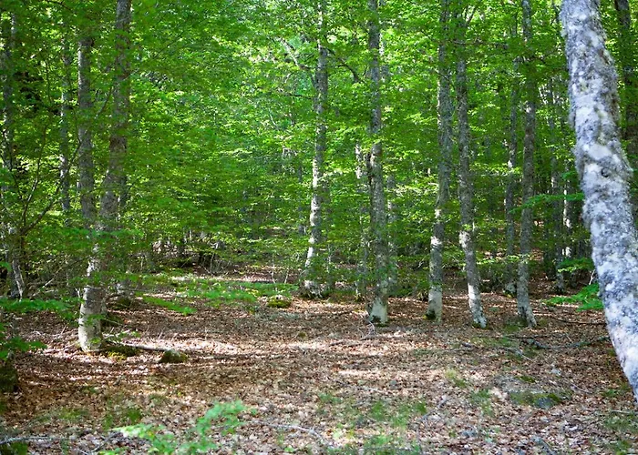 Casa de Campo La Majada De Penacorada Fuentes de Penacorada