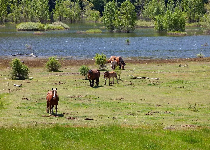Casa de Campo La Majada De Penacorada *