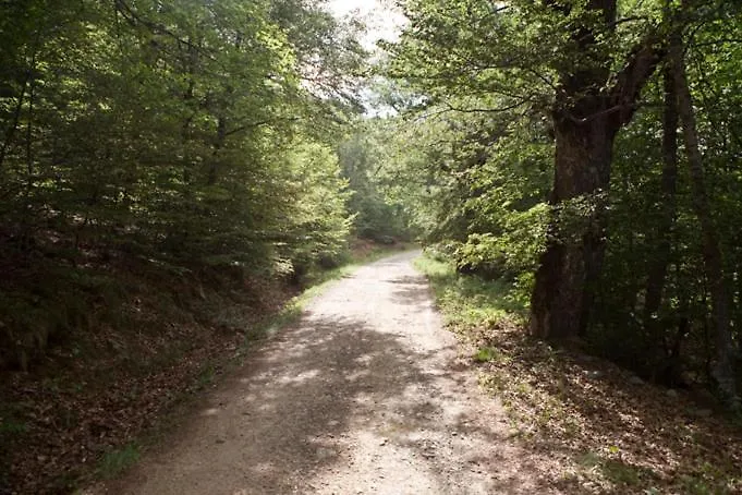 La Majada De Penacorada Fuentes de Penacorada